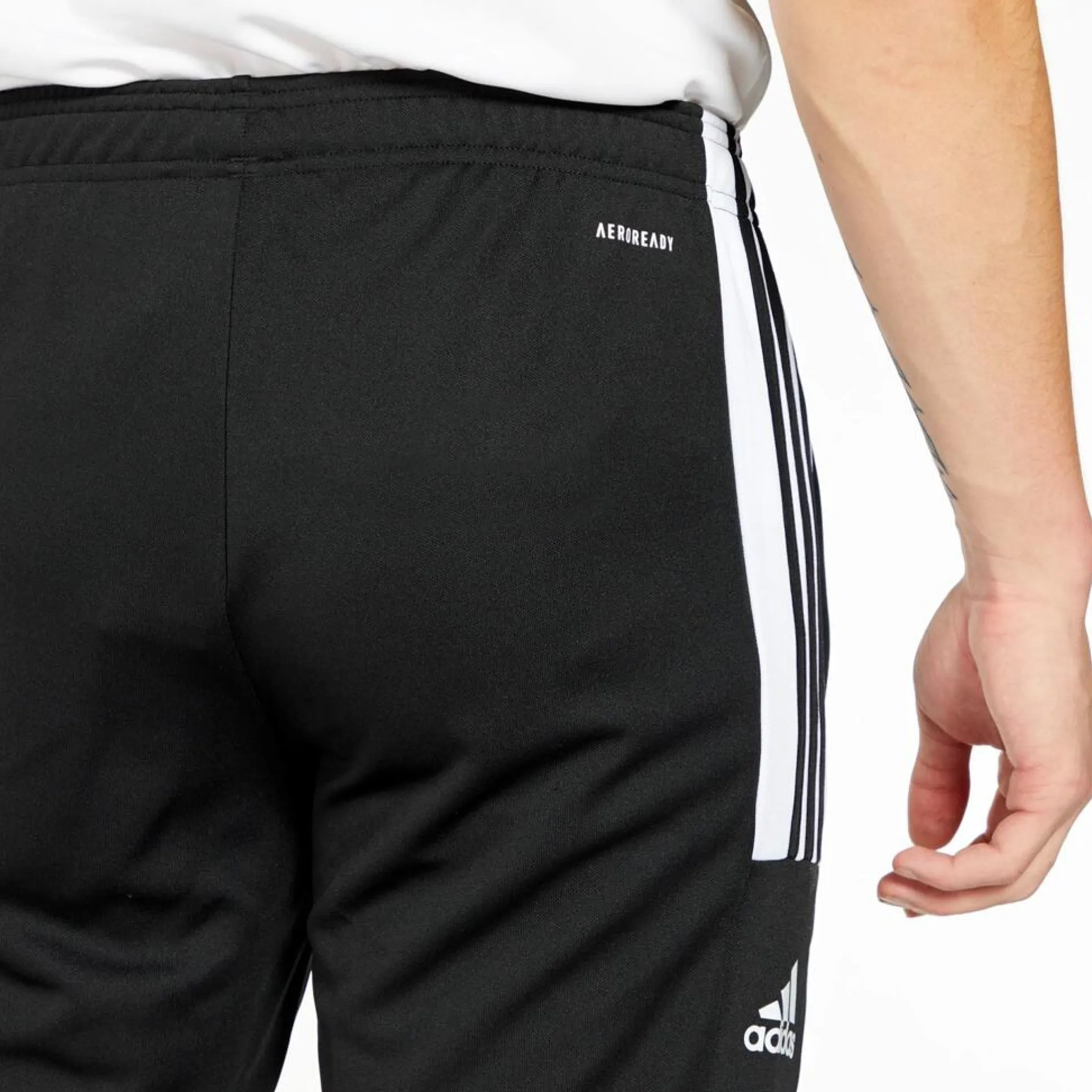 adidas Sq21 Tr Pnt