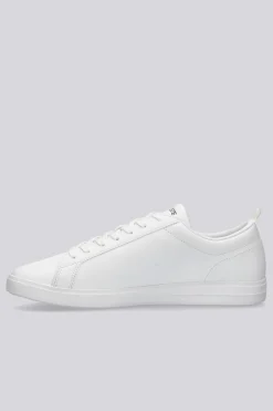 Lacoste Carna Base