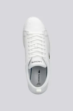 Lacoste Carna Base