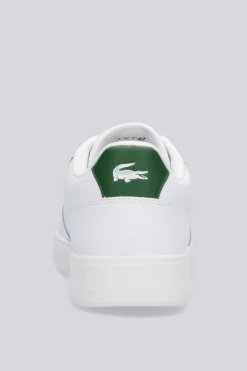 Lacoste Court Ace