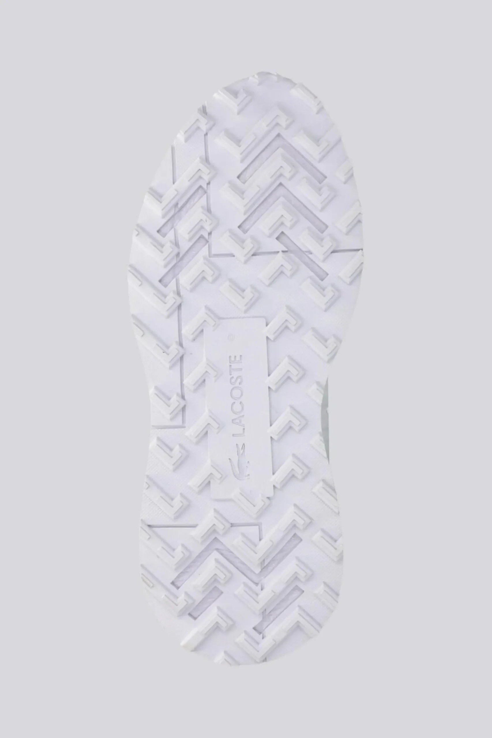 Lacoste Elite Active Evo
