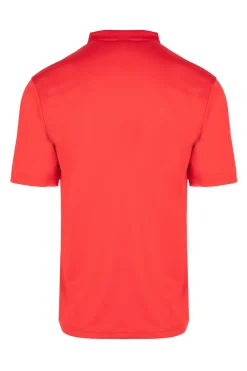 Polo Izas Acay M