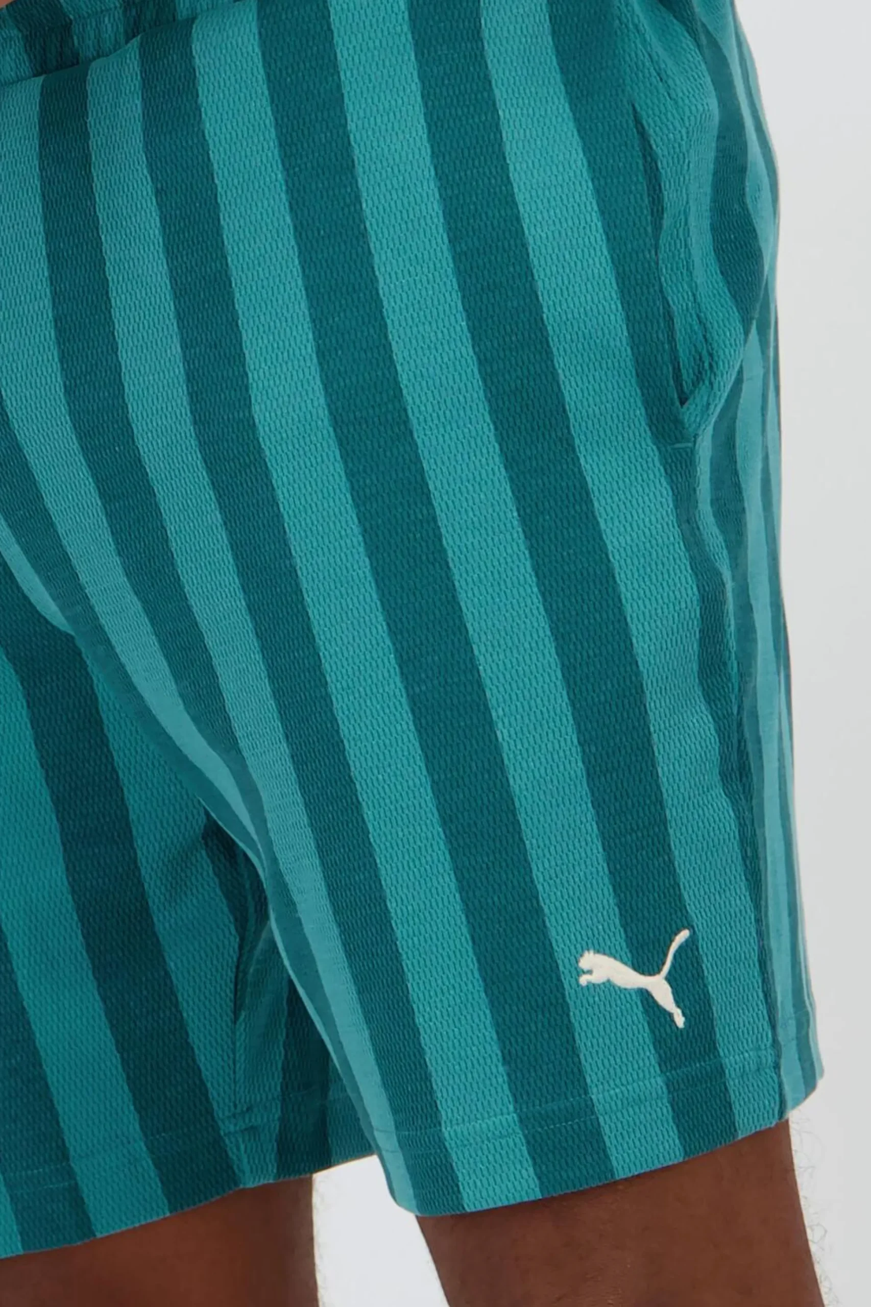 Puma Class