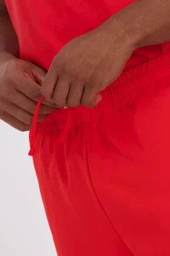 Puma Lab