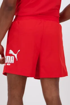 Puma Lab