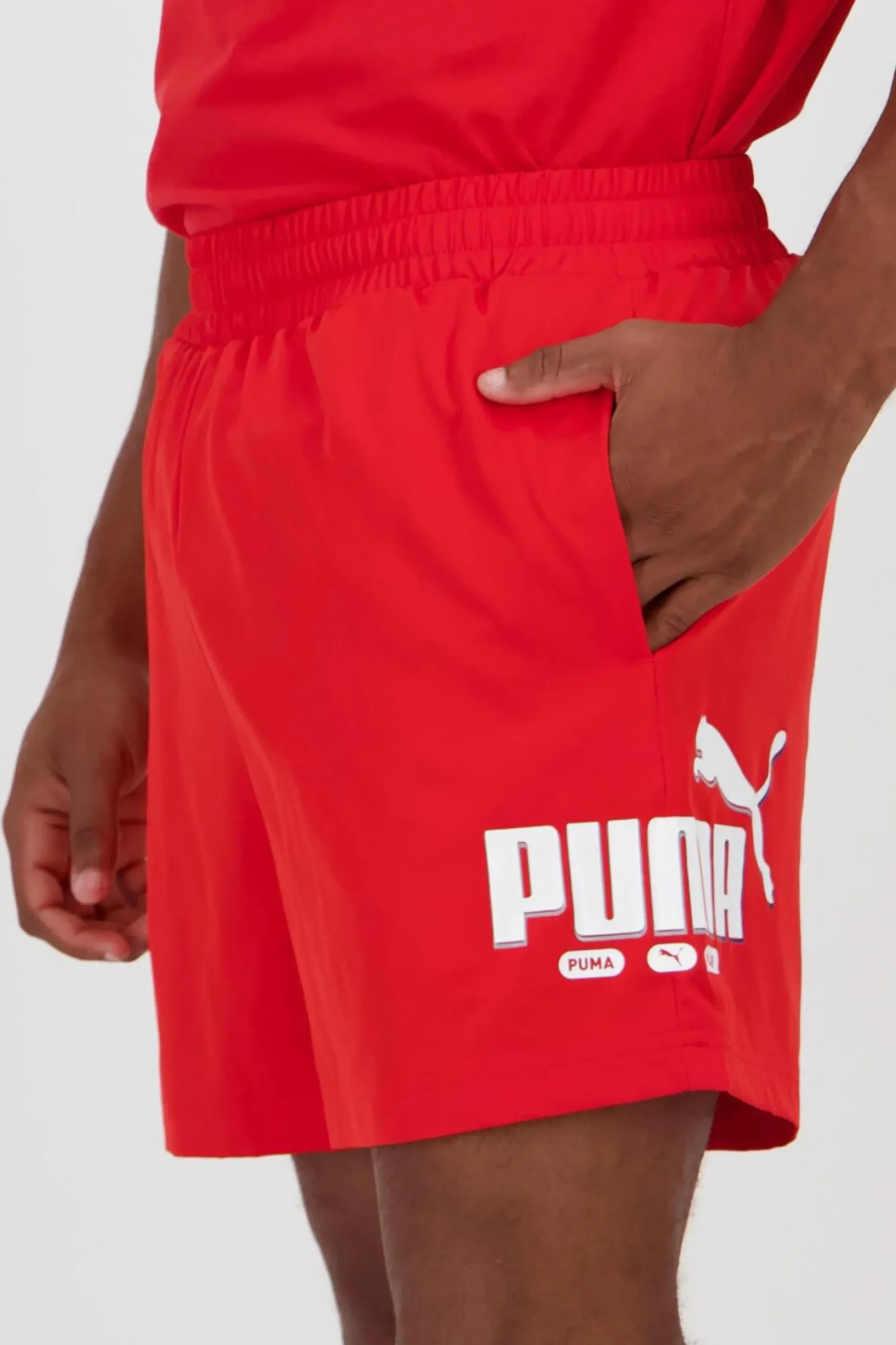 Puma Lab