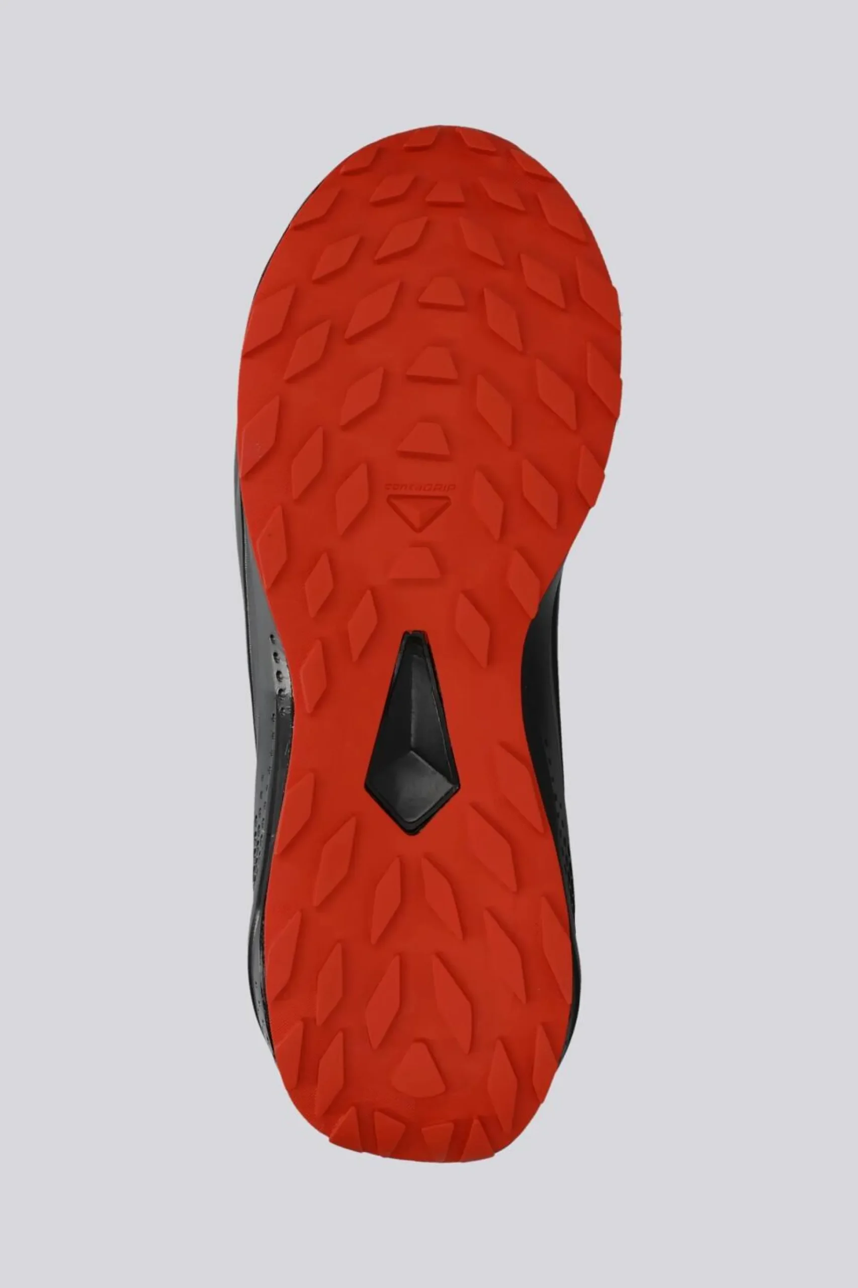 Salomon Alphaglide