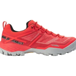 Sapatilhas De Montanha Homem Ducan Low Gtx Mammut