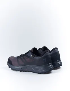 Sapatilhas Salomon Trailster 2 Gtx