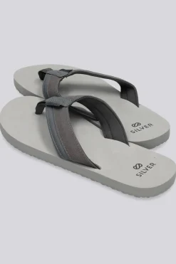 Silver Cera