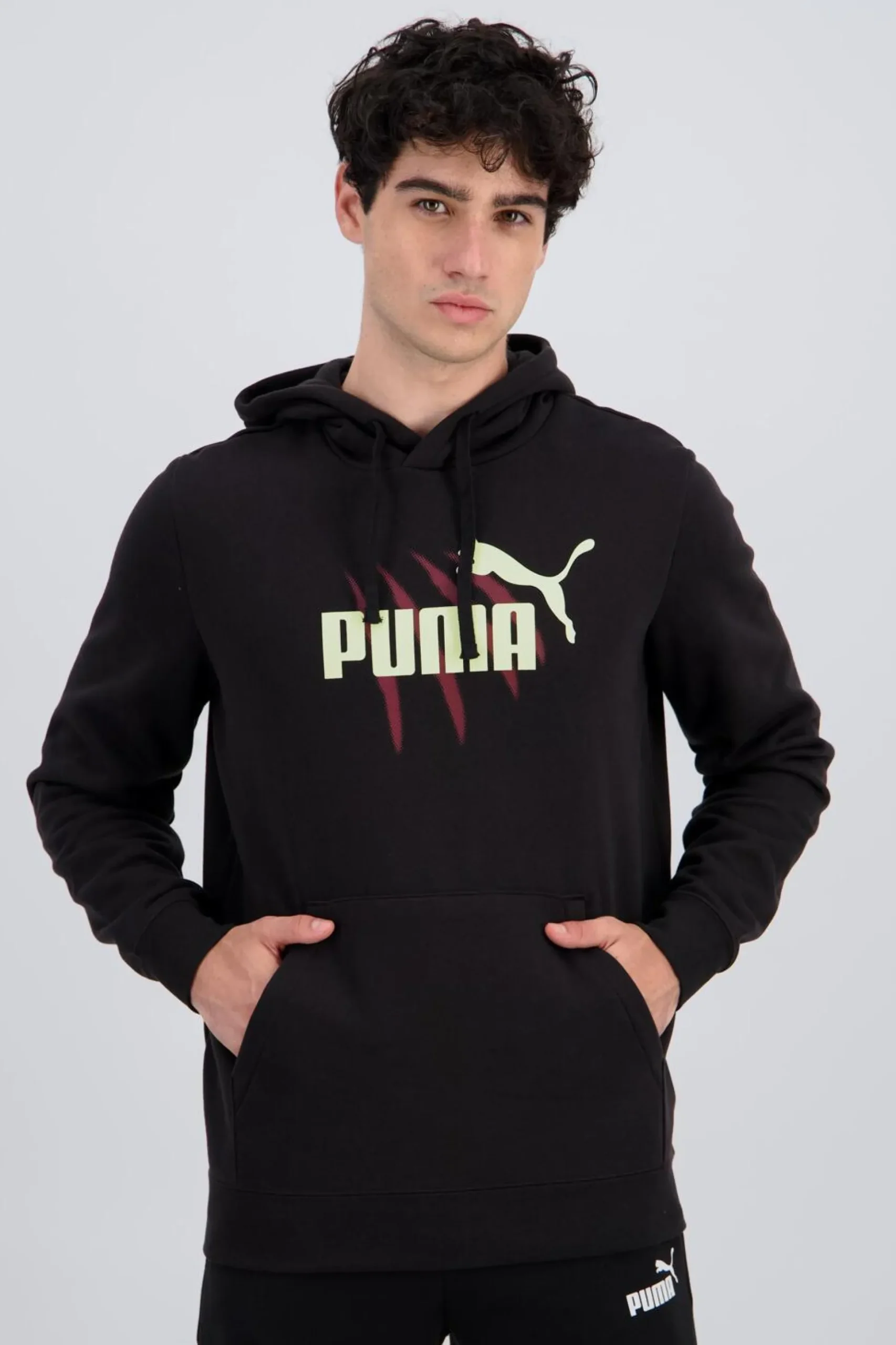 Sweatshirt Capuz Puma
